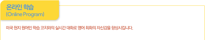 실시간 화상 학습 (Live Tutoring)